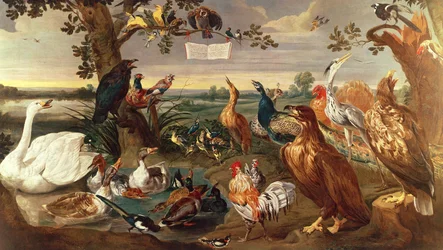 Verschiedene Vögel